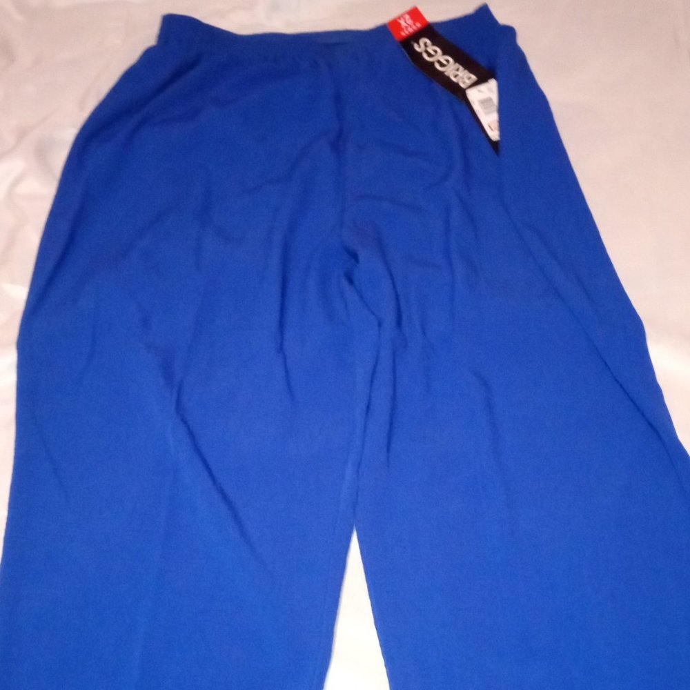 PLUS SIZE 2X WOMEN'S BLUE ELASTIC WAIST BRIGGS EASY CARE WASHABLE PANTS W/TAGS